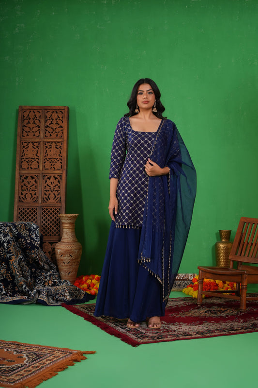 Meera Neel Sharara Set